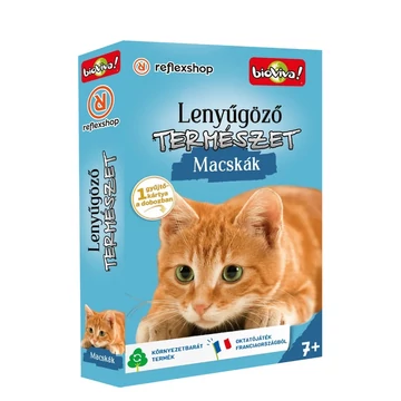 Lenyűgöző természet Macskák