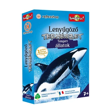 Lenyűgöző természet Tengeri állatok