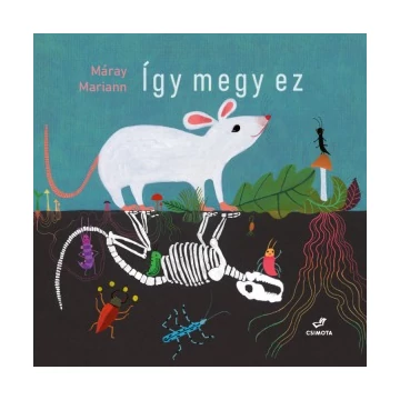 Így megy ez