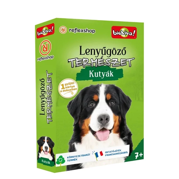 Lenyűgöző természet Kutyák
